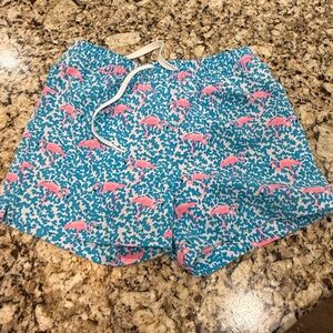 Chubbies Kids Swim Trunks - Blue and Pink